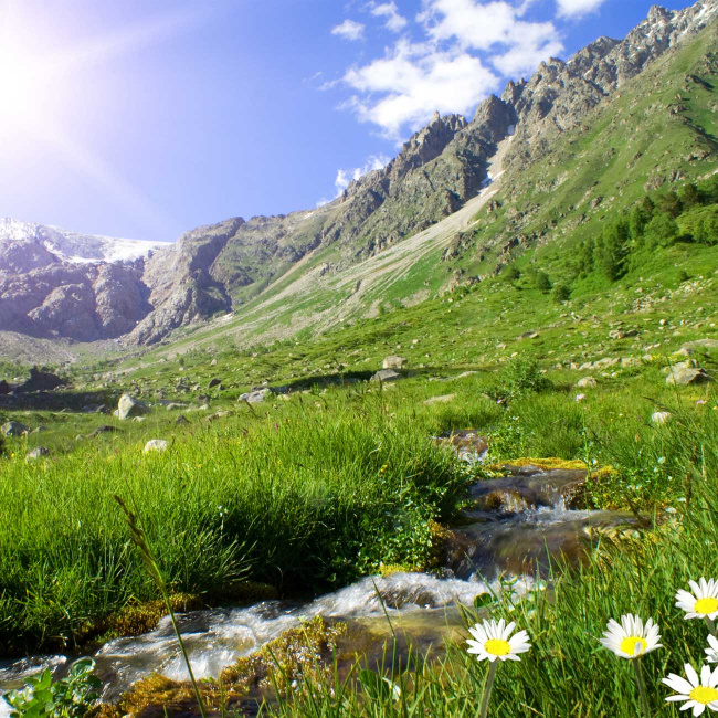Alpenlandschaft mit kleinem Bach